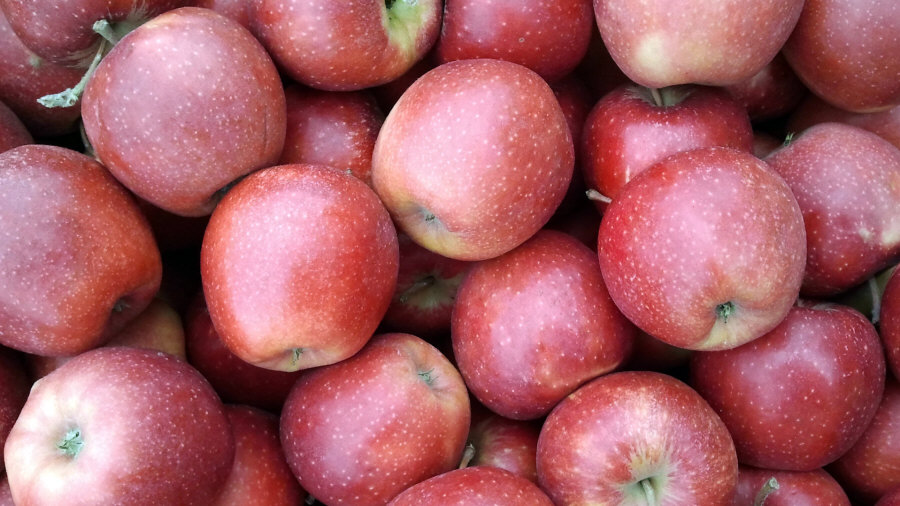 Exportator de fructe poloneze de mere, pere, prune, cireșe, en-gros de Polonia 02
