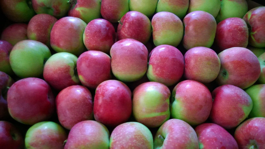 Exportator de fructe poloneze de mere, pere, prune, cireșe, en-gros de Polonia 01